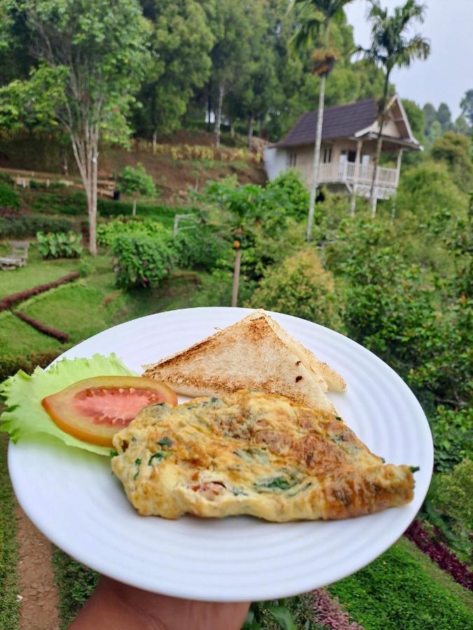 Gobleg  Garden Terrace Bali Bed & Breakfast エクステリア 写真