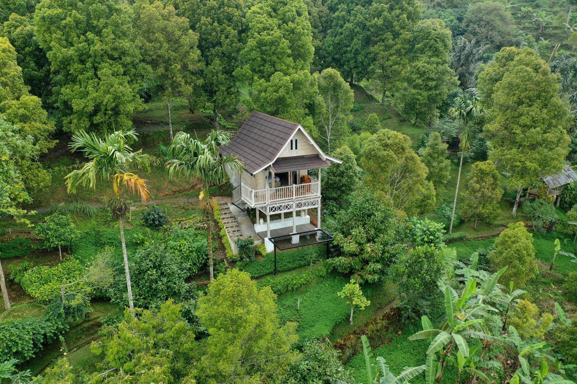 Gobleg  Garden Terrace Bali Bed & Breakfast エクステリア 写真