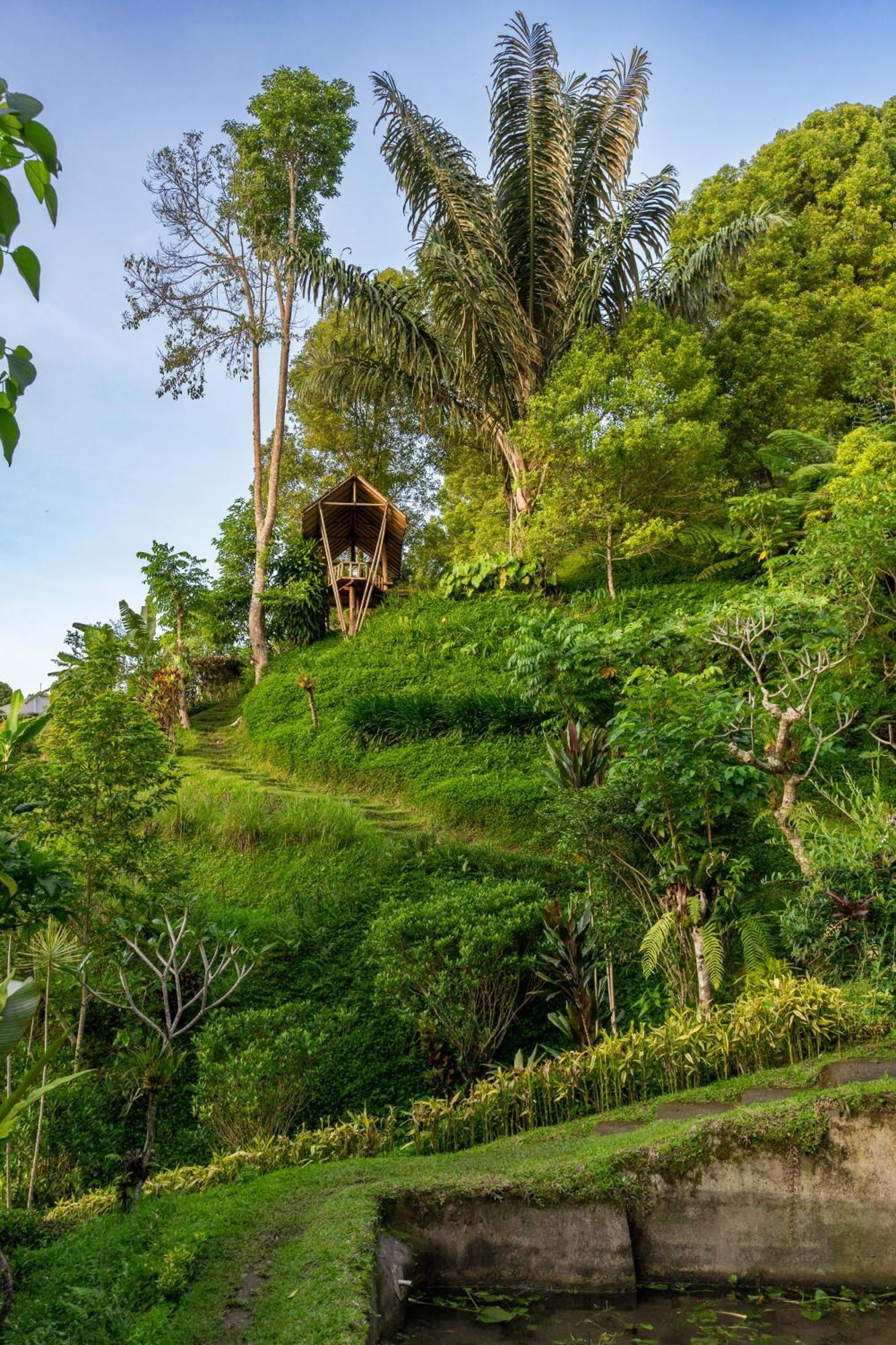 Gobleg  Garden Terrace Bali Bed & Breakfast エクステリア 写真