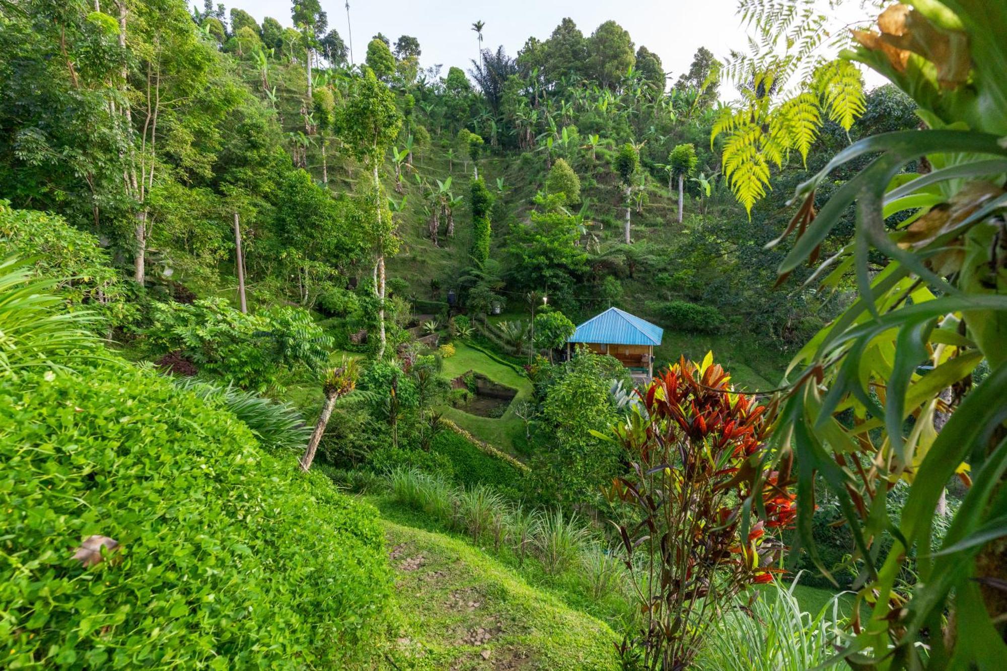Gobleg  Garden Terrace Bali Bed & Breakfast エクステリア 写真