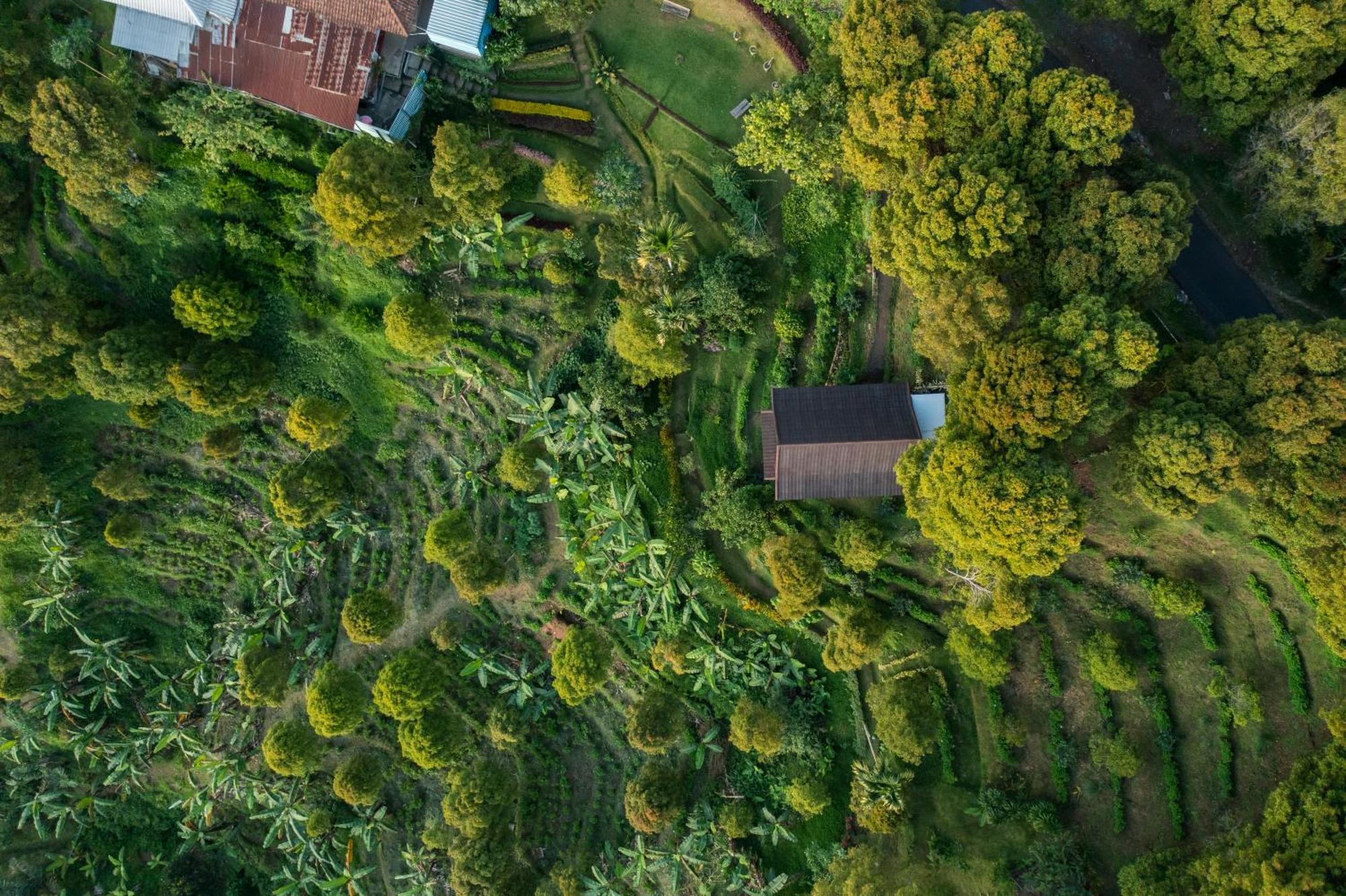Gobleg  Garden Terrace Bali Bed & Breakfast エクステリア 写真