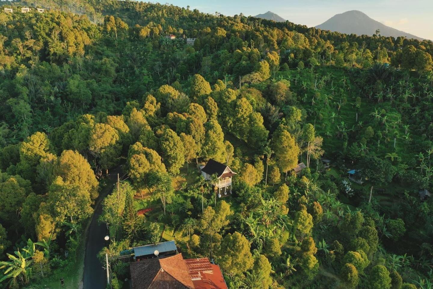 Gobleg  Garden Terrace Bali Bed & Breakfast エクステリア 写真