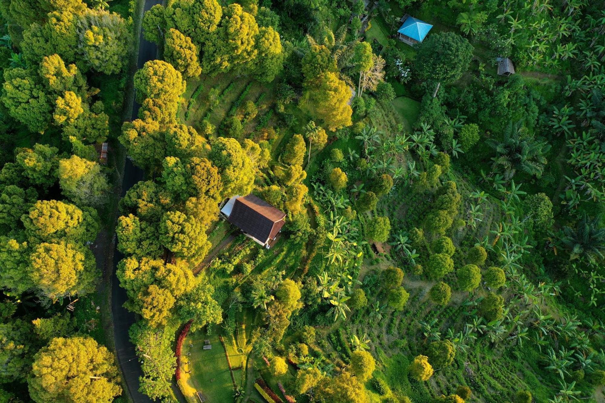 Gobleg  Garden Terrace Bali Bed & Breakfast エクステリア 写真