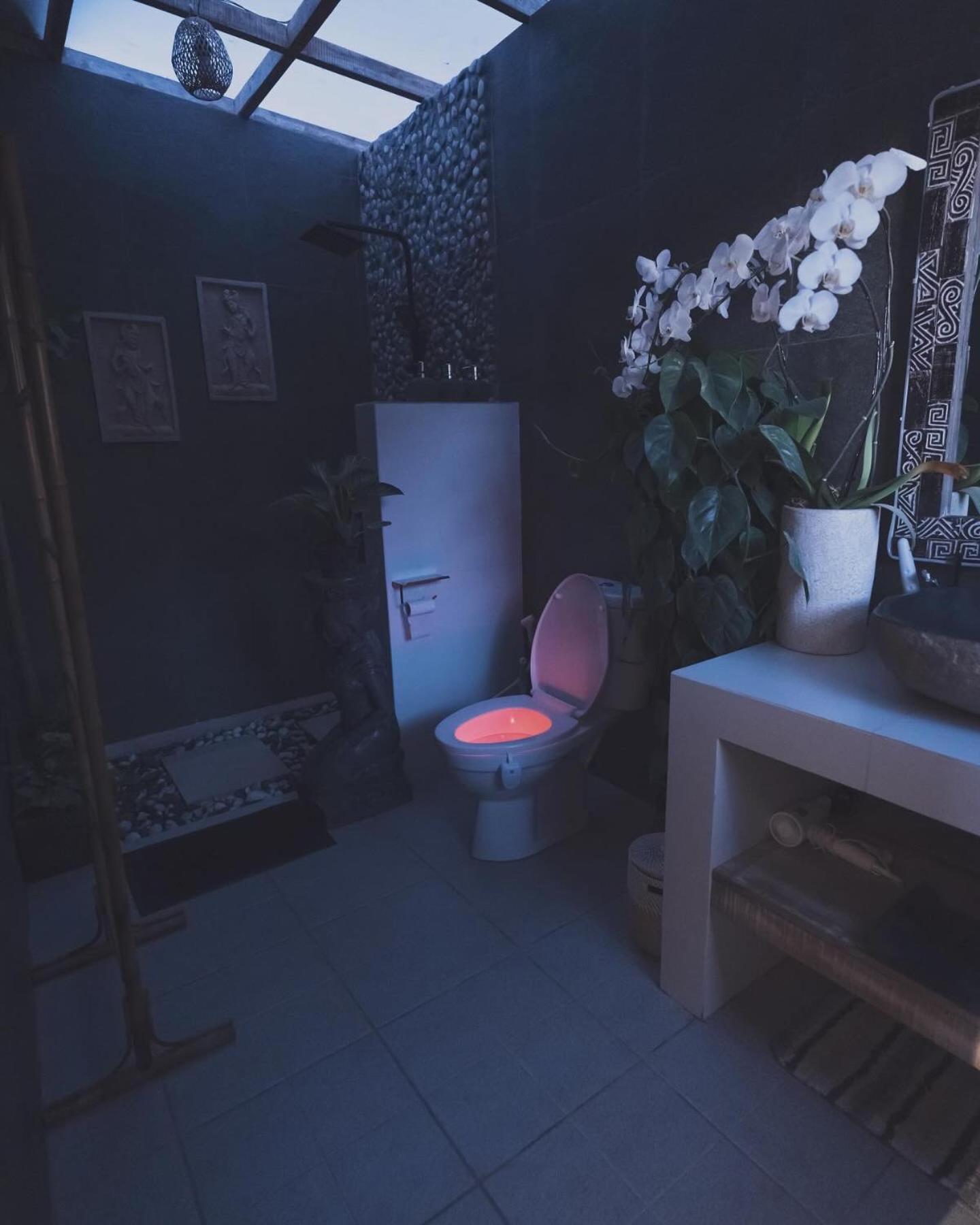 Gobleg  Garden Terrace Bali Bed & Breakfast エクステリア 写真